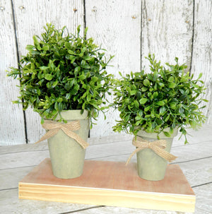 Potted Boxwood Farmhouse Decor