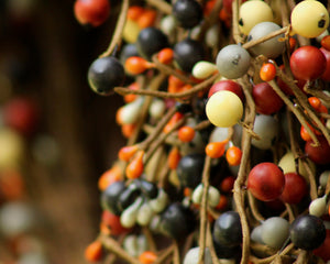 Orange Grey Black Cream Berry Wreath with Bow